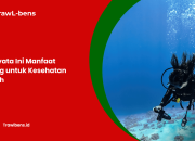 Ternyata Ini Manfaat Diving untuk Kesehatan Tubuh