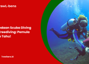 Perbedaan Scuba Diving dan Freediving: Pemula Wajib Tahu!