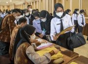 Kumpulan Soal Tryout PPPK Guru SD 2023 PDF dan Jawabannya