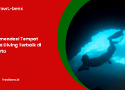 Rekomendasi Tempat Scuba Diving Terbaik di Jakarta