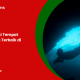 rekomendasi-tempat-scuba-diving-terbaik-di-jakarta