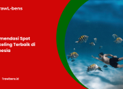 Rekomendasi Spot Snorkeling Terbaik di Indonesia