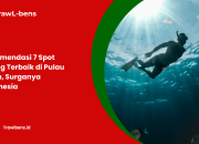 Rekomendasi 7 Spot Diving Terbaik di Pulau Jawa, Surganya Indonesia