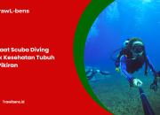 Manfaat Scuba Diving Untuk Kesehatan Tubuh dan Pikiran 
