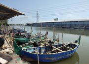 Tol Tanggul Laut Semarang Demak, Minim Sosialisasi dan Ganti Rugi Belum Tuntas