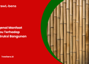 Mengenal Manfaat Bambu Terhadap Konstruksi Bangunan