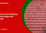 Ternyata Ini Loh Kelebihan dan Kekurangan dari Genteng!