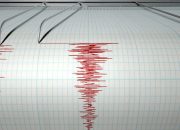 Gempa Hari Ini 12 November 2023 Jam 09:06 Magnitudo 5.4 di Kab. Kupang