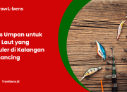 Jenis Umpan untuk Ikan Laut yang Populer di Kalangan Pemancing