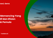 Tips Memancing Yang Efektif dan Efisien Untuk Pemula