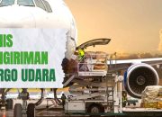 Mengenal Jenis Kargo dalam Pengiriman Udara