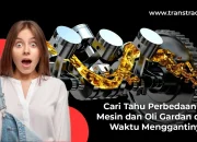 Cari Tahu Perbedaan Oli Mesin dan Oli Gardan dan Waktu Menggantinya!