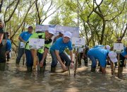 Estafet Peduli Bumi : Jaga Kelangsungan Lingkungan Hidup Untuk Hari Ini dan  Mendatang, Asuransi Astra Tanam 5.000 Bibit Pohon Mangrove di Surabaya