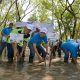 estafet-peduli-bumi-:-jaga-kelangsungan-lingkungan-hidup-untuk-hari-ini-dan-mendatang,-asuransi-astra-tanam-5.000-bibit-pohon-mangrove-di-surabaya