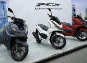 Kisaran Harga Honda PCX 160 Bekas, Panduan Lengkap Sebelum Anda Membeli