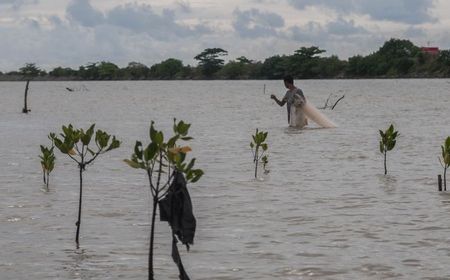 nelayan-di-sukabumi-diterkam-buaya-saat-menjala-ikan,-tumit-kirinya-robek