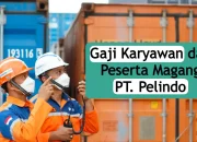 Gaji Karyawan Pelindo 2023, Mulai dari Magang hingga Dirut