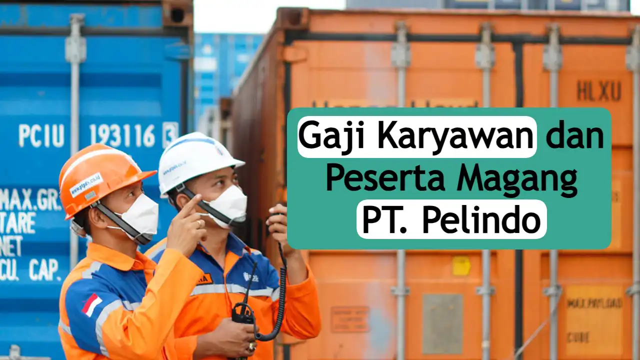 gaji-karyawan-pelindo-2023,-mulai-dari-magang-hingga-dirut