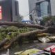 musim-hujan-disertai-angin-kencang,-hindari-parkir-mobil-di-tempat-tempat-ini