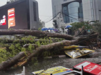 musim-hujan-disertai-angin-kencang,-hindari-parkir-mobil-di-tempat-tempat-ini
