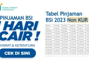 Tabel Pinjaman BSI 2023 Non KUR Plafon Maksimal 200 Juta
