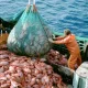 kerja-di-kapal-ikan-australia-:-lowongan,-gaji,-&-syaratnya