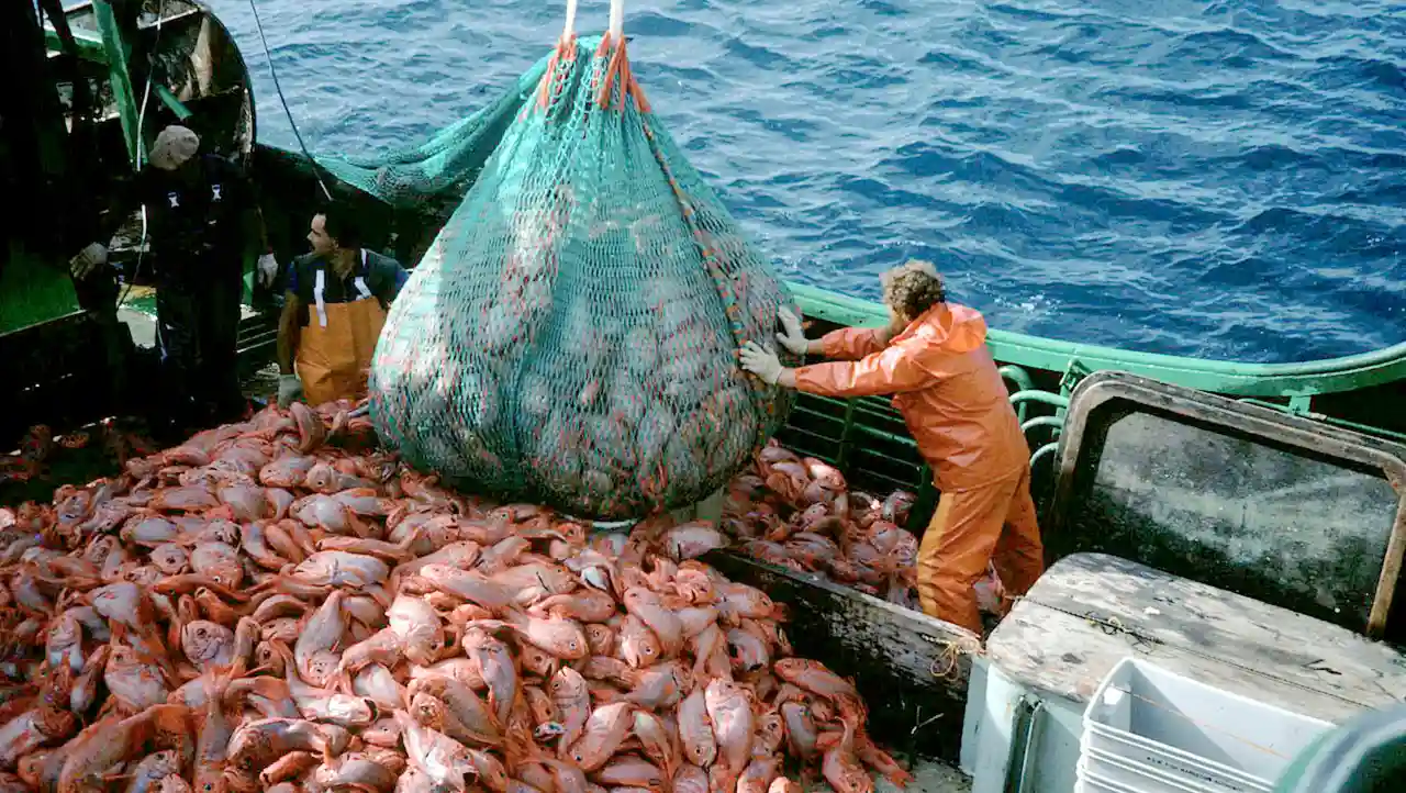 kerja-di-kapal-ikan-australia-:-lowongan,-gaji,-&-syaratnya