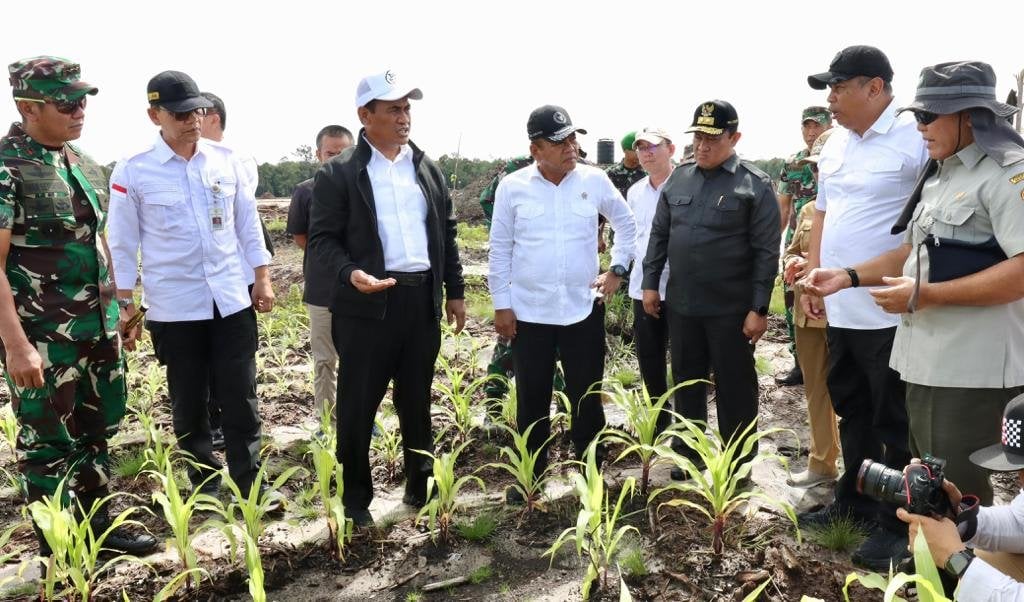 wamenhan-m.-herindra-tinjau-lokasi-food-estate-di-palangka-raya