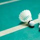 daftar-ranking-badminton-jelang-bwf-world-tour-final-2023