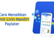 5 Cara Menaikkan Limit Livin Paylater Hingga 20 Juta