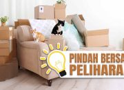 Pindahan dengan Hewan Peliharaan (Panduan Lengkap)