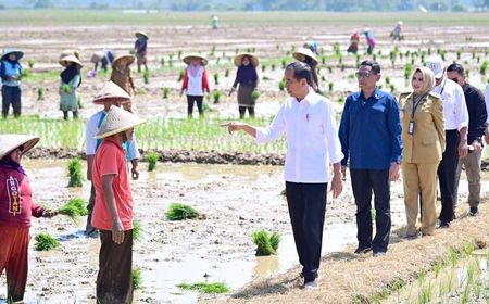 jawab-keluhan-petani,-jokowi-janji-tambah-subsidi-pupuk-di-tengah-kelangkaan