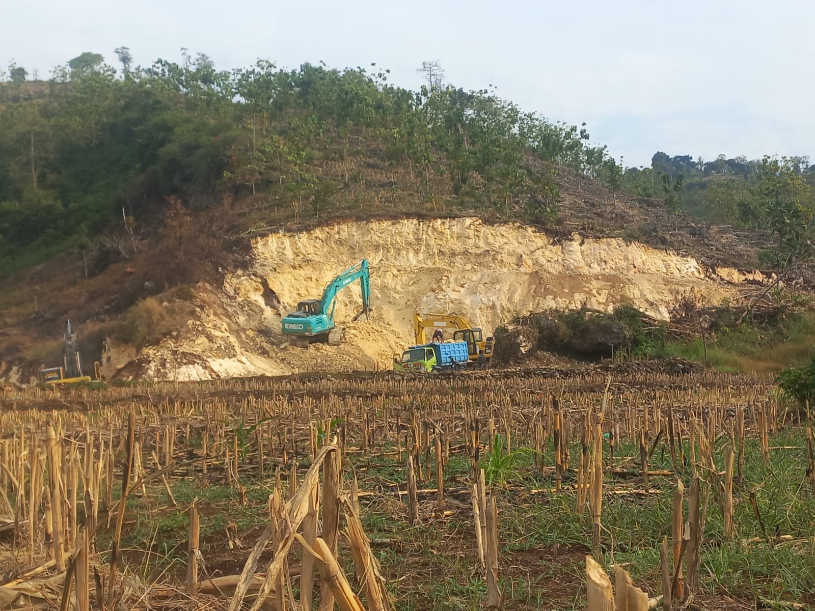 ugal-ugalan-tambang-di-sukolilo-pati