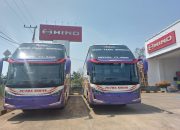 Hino Mantapkan Eksistensi Jadi Market Leader Bus di Indonesia