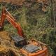 pemkab-dalami-laporan-dugaan-oknum-dprd-mukomuko-terlibat-perambahan-hutan-ilegal