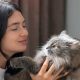 5-tipe-kepribadian-kucing-yang-jarang-dikenali-pecinta-anabul