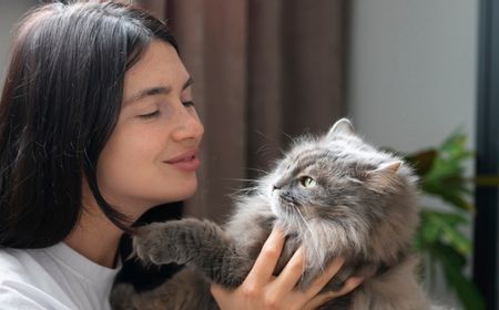 5-tipe-kepribadian-kucing-yang-jarang-dikenali-pecinta-anabul