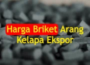 Harga Briket Ekspor per Ton Terbaru 2024