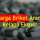 harga-briket-ekspor-per-ton-terbaru-2024