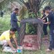 muncul-di-permukiman-warga,-bksda-sumbar-pasang-kandang-jebak-harimau-sumatra