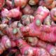 resep-racikan-jahe-merah-untuk-minuman-sehat-dan-cara-membuatnya