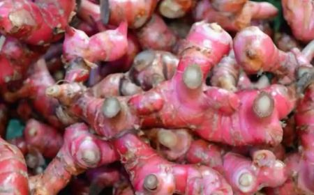 resep-racikan-jahe-merah-untuk-minuman-sehat-dan-cara-membuatnya