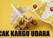 Pentingnya Melacak & Memonitor Pengiriman Kargo Udara