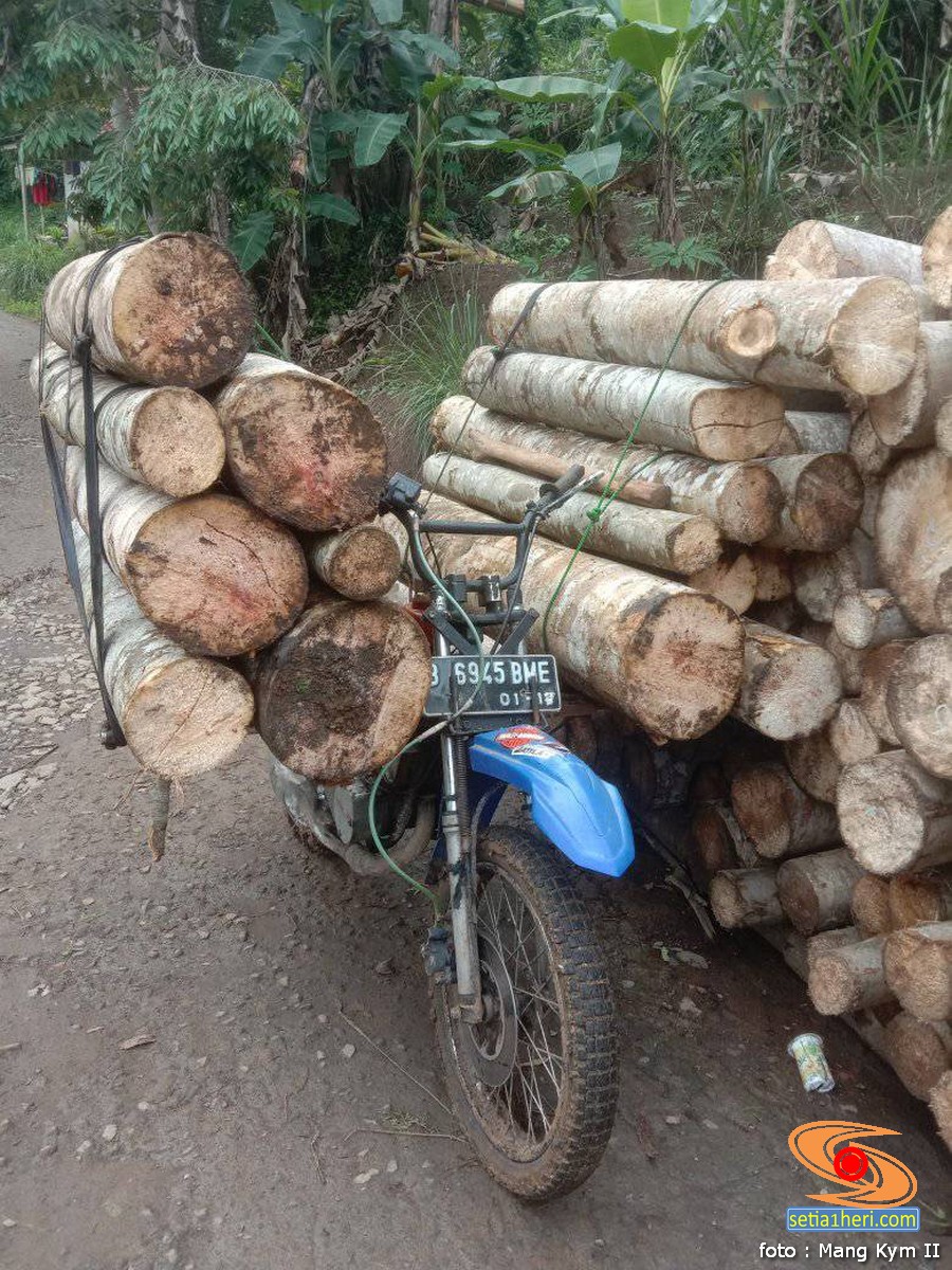 cadas…yamaha-rx-king-ini-dimodif-jadi-ojek-palang-di-hutan-rimba