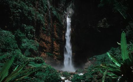 lompat-dari-air-terjun-ketinggian-20-meter,-wisatawan-tewas-di-minnehaha