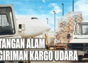 Kargo Udara & Tantangan Alam