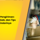 overload-pengiriman:-arti,-penyebab,-dan-tips-menghindarinya