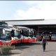 perusahaan-transportasi-anggap-kemenhub-setengah-hati-berikan-izin-operasi
