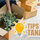 tips-kirim-tanaman-hias-agar-tetap-cantik-dan-segar