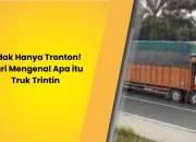 Tidak Hanya Tronton! Mari Mengenal Apa itu Truk Trintin